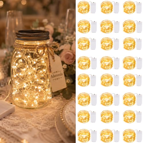 24 Pack Fairy Lights Battery Operated (2032-24 Pack-Warm White)