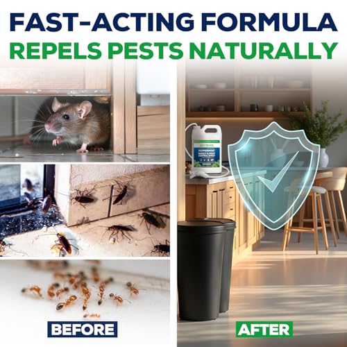 Peppermint Oil Spray for Rodents (128 Fl Oz (Pack of 1))