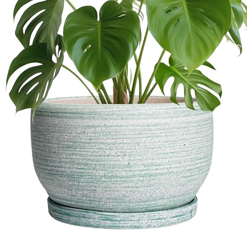 Ceramic Pots for Plants