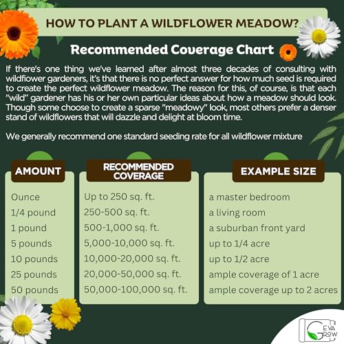 Wildflower Seed Shaker