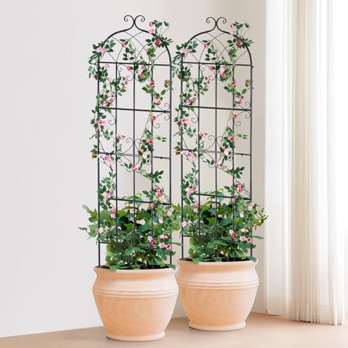 71 x 20 in 2 Packs Rustproof Metal Garden Flower Trellis