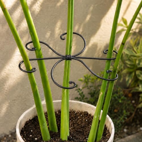 5PCS Black Monstera Plant Stem Support (Black / 7.5IN*7.5IN)