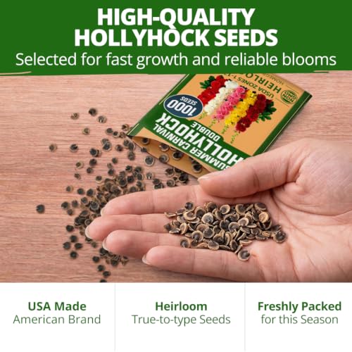 Summer Carnival Giant Hollyhock Seeds