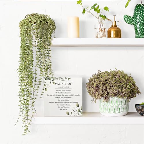 HEYBIG Cancer Motivational Decor Sign (Breast cancer)