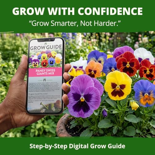 Swiss Giant Pansy Seeds