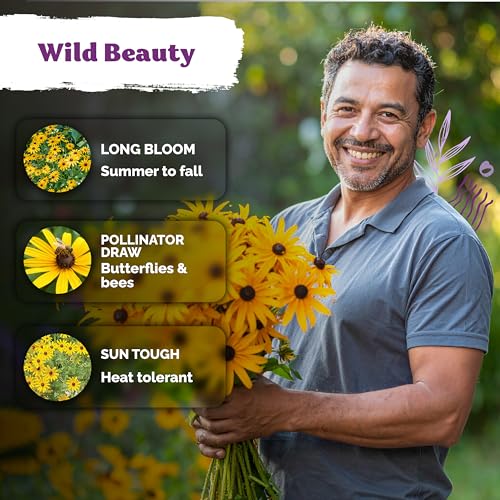 10 000 Black Eyed Susan Heirloom Flower Seeds for Planting