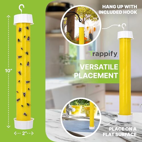 Hanging Fly Trap & Fruit Fly Traps for Indoors (2 Count)