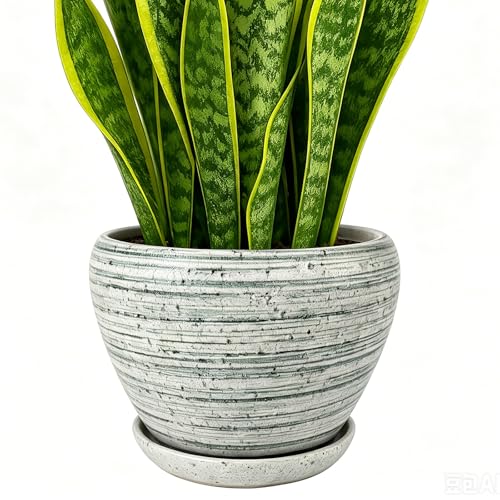 8 Inch Plant Pots (Brushed Green / 8 Inch)