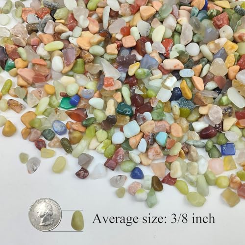 20LB Colorful Pebbles for Succulent (320 Ounce)