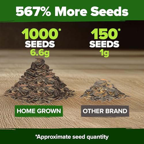 Envy Zinnia Seeds