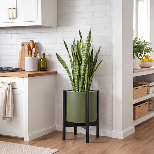 Plastic Pot with Ebony Wood Stand (Olive Pot + Ebony Stand / 10 Inch)