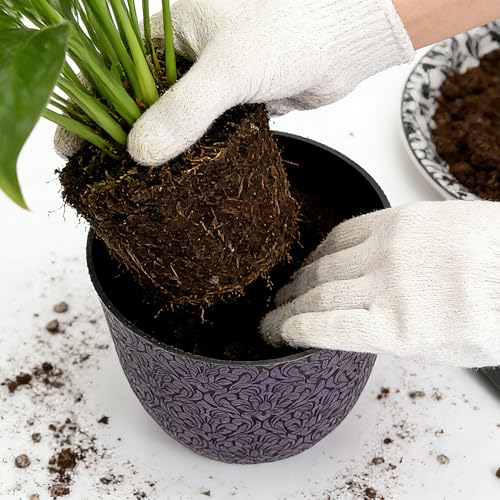 Garden Plastic Round 8" Plant Pots for Indoor Plants (6 Count)