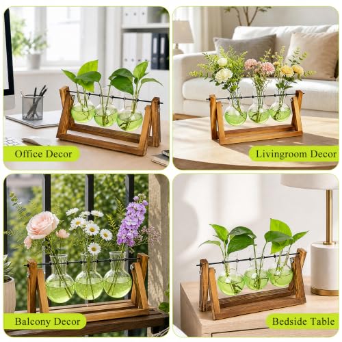 Plant Terrarium Kit with Wooden Stand 3 Gradient Green Bulb Vases (Green)