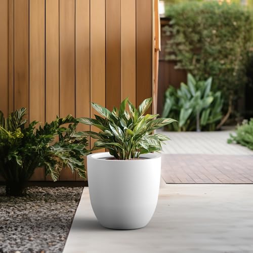18" Dia Round Concrete Planter (Pure White / 18"d)