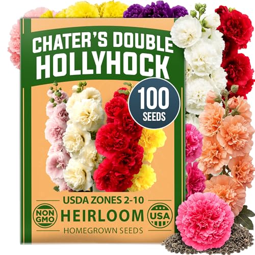 Hollyhock Seeds