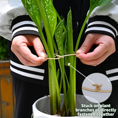 Set of 5 Monstera Plant Stem Support (Gold / 4.13IN*2.95IN)