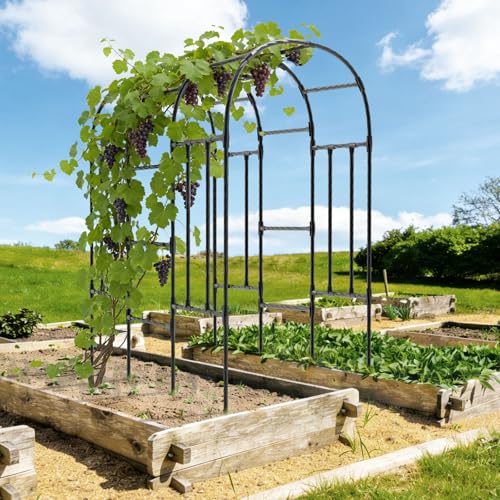 Garden Arch Trellis (47L*71W*87H inch)