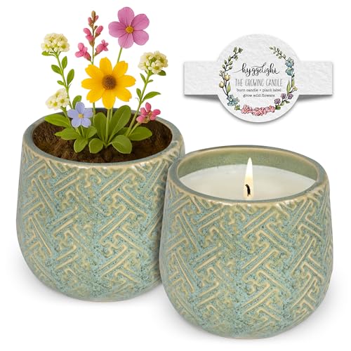 The Growing Candle (Ida)