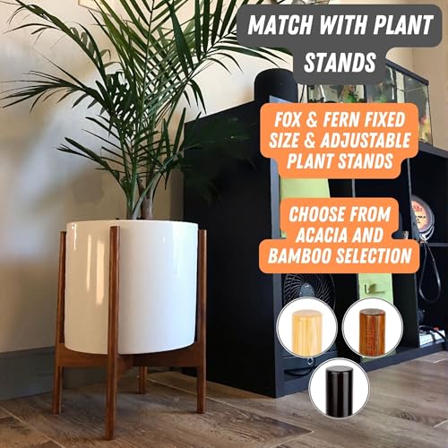 Large Planter for Indoor or Outdoor (Glossy White / 10 Inch)