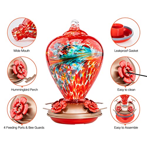 Hummingbird Feeders for Outdoors Hanging (Phoenix Flying)