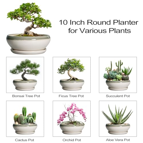 Bonsai Pots Ceramic (10 Inch / Grey-white)