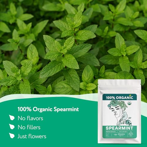 Organic Spearmint Tea Loose Leaf 3 oz (3 oz)
