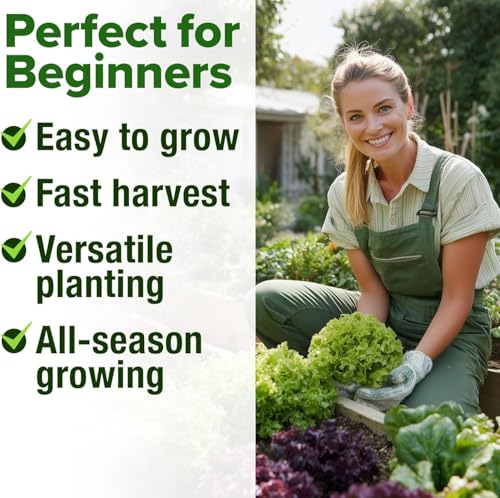 10 Variety Lettuce Seed Mix
