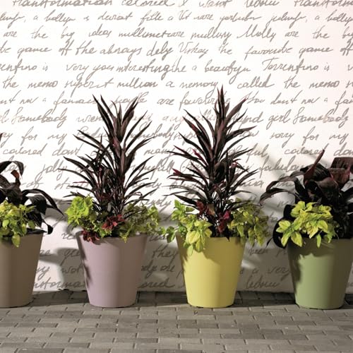 Madison Planter
