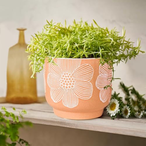 Ceramic Plant Pots (8+6 Inch / Modern Orange Floral)