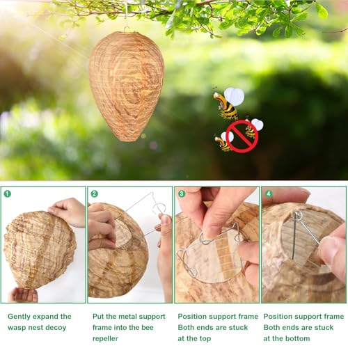 DECYOOL 6 Pack Wasp Nest Decoy (6 Count)