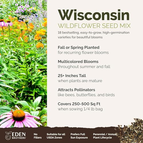Wisconsin Wildflower Mixed Seeds for Planting