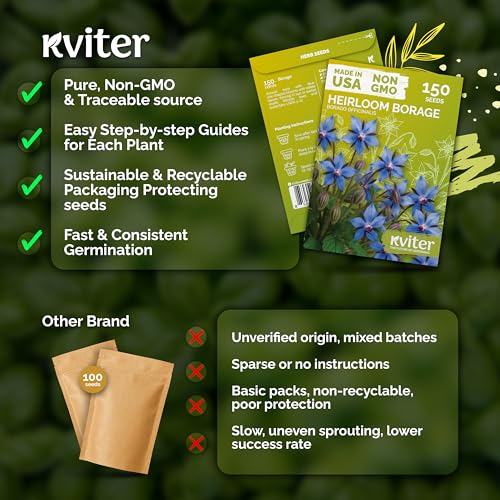 150 Borage Heirloom Herb Seeds for Planting