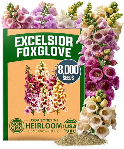 Foxglove Excelsior Mix 8000 Flower Seeds Digitalis purpurea