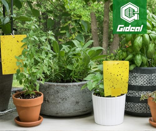 50-Pack Dual-Sided Yellow Sticky Traps for Flying Plant Insect Fungus Gnats Whiteflies Aphids Leafminers Thrips (6x8 Inches, Included 50pcs Twist Ties) (50 Count)