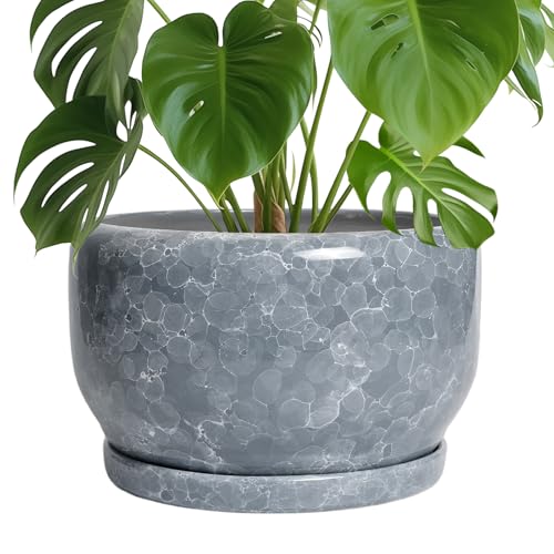 Ceramic Pot for Plants