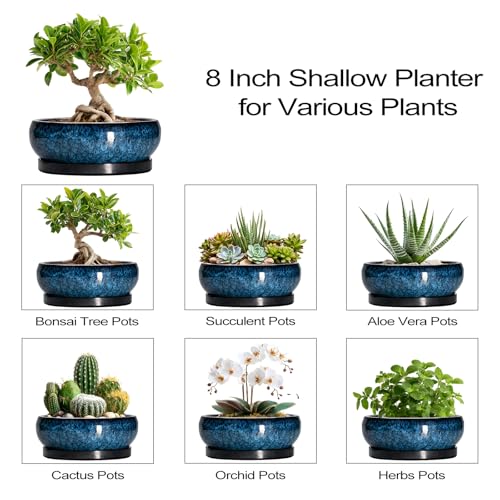 Bonsai Pots 8 Inch (8 Inch / Blue)
