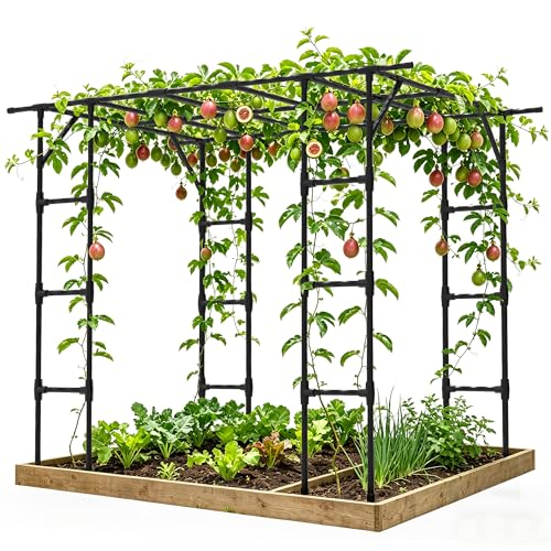 Grape Vine Trellis (95.7（L）*61.6(W)*78.5(H) in)