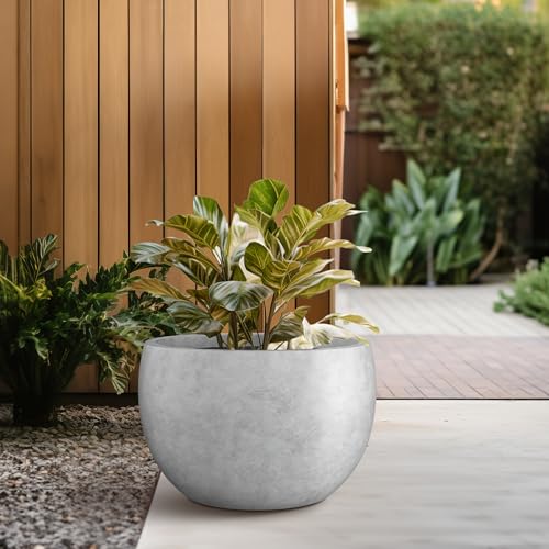 Accent Round Bowl Pale Gray Concrete Planter 15.7" Dia (Natural Concrete / 15.7" d)