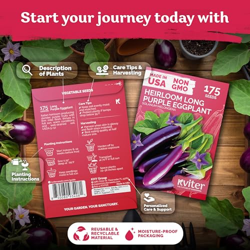 175 Long Purple Eggplant Heirloom Vegetable Seeds