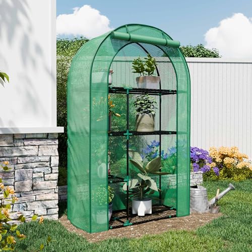 4 Tier Mini Greenhouse for Outdoors (Green / 63" x 40")