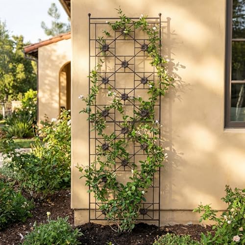 5.75 Ft Garden Trellis