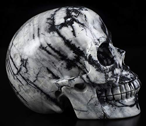 5.0" Black Picasso Crystal Skull (5.0 Inches Black Picasso Jasper)