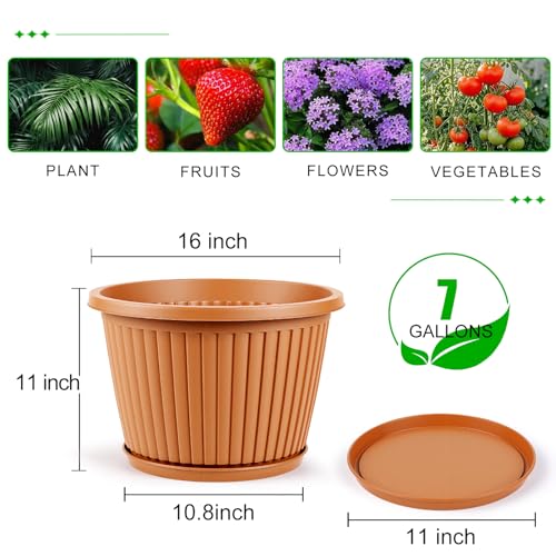 Large Planter (Terracotta / 16 inch)