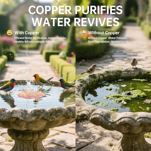 4 Pack Copper Disc for Bird Bath