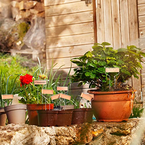 160 Pcs Metal Garden Tags Plant Labels (Copper / 10 Inch)