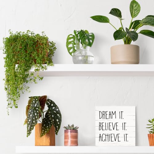Motivational Desk Decor Signs (Inspirational01)