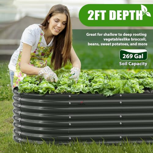 Anleolife 2 Bed 6x3x2ft Oval Galvanized Raised Garden Beds (Set of 2 / 0102-grey)