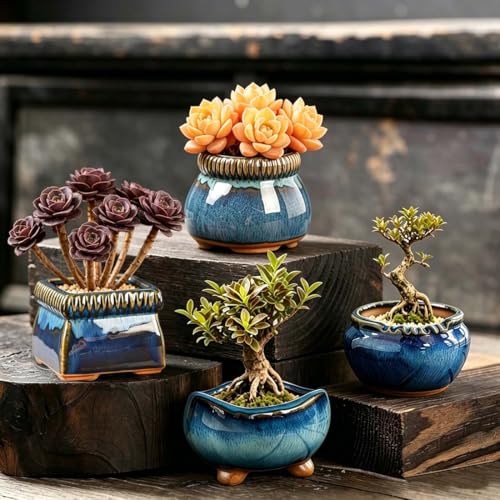 5PACK Glazed Bonsai Planter 3" Small Succulent Pots (5pcs Pots With Trays)
