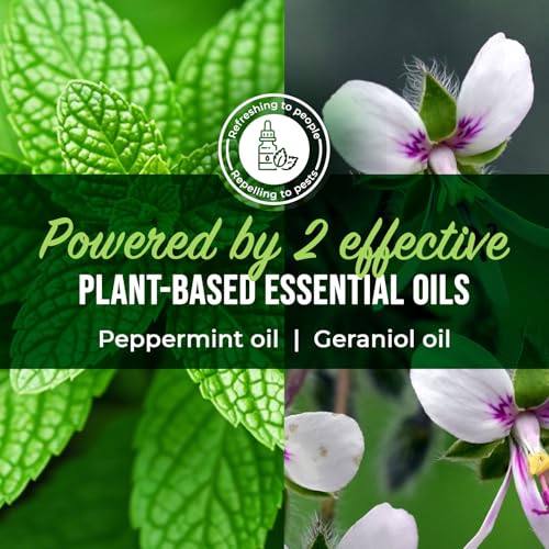 Peppermint Oil Ant Killer Spray (16 Fl Oz)