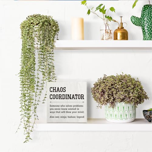 Chaos Coordinator Thank You Gifts Office Decor Funny Motivational Desk Decor Gifts for Coworkers Boss Manager Appreciation Rustic Wooden Box Sign for Table Top Office Bookshelf White (white- Chaos)